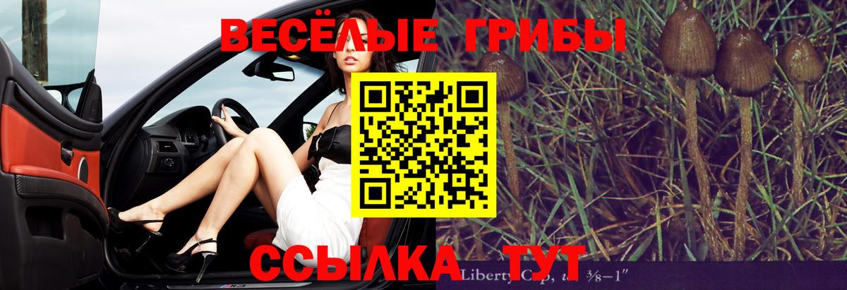 Псилоцибиновые грибы Magic Shrooms  Вход с VPN  Псилоцибиновые грибы мухоморы  Шелехов 